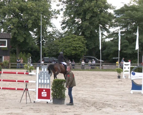 Reitturnier Münster-Roxel 2024