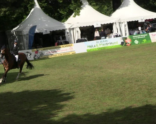 Reitturnier Neu Benthen 2024