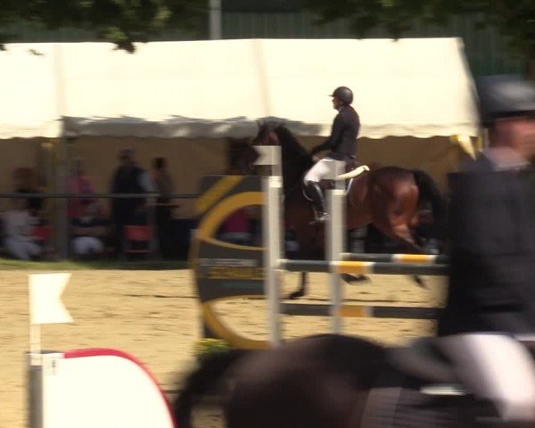 Reitturnier Grefrath - Reitanlage Heitzerend 2024