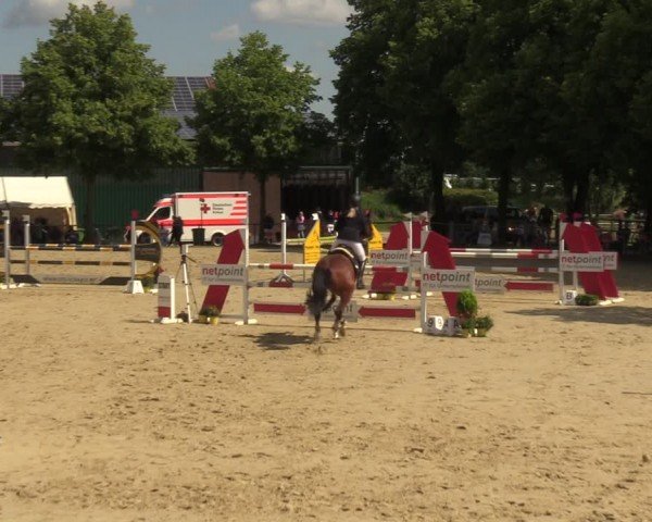 Reitturnier Grefrath - Reitanlage Heitzerend 2024