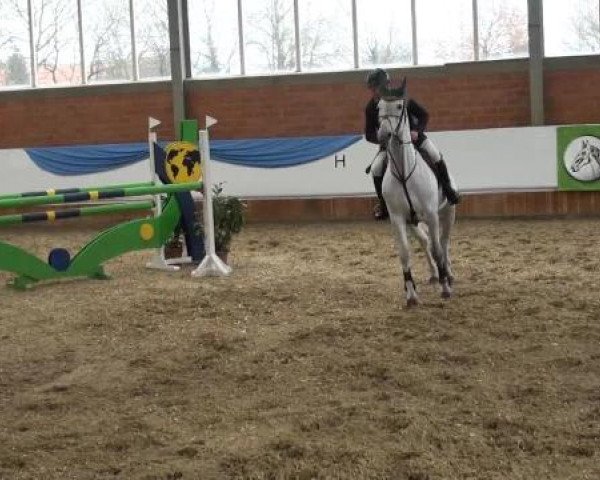 Grevener-Hallenspringturnier 2013