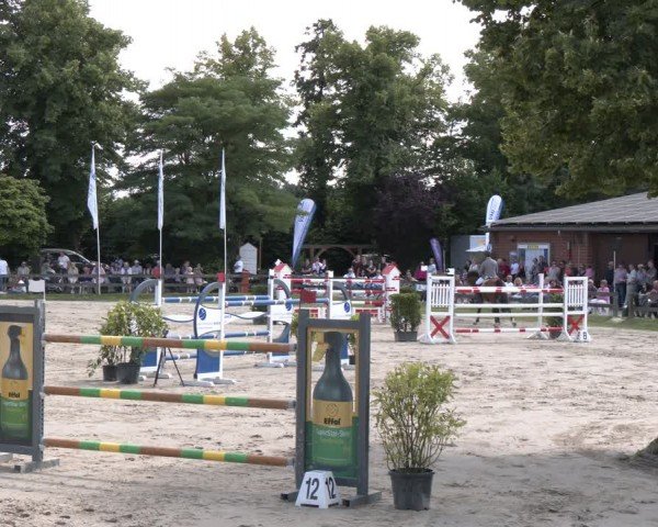 Reitturnier Münster-Roxel 2024
