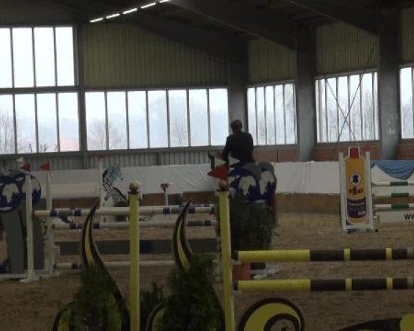 Grevener-Hallenspringturnier 2013