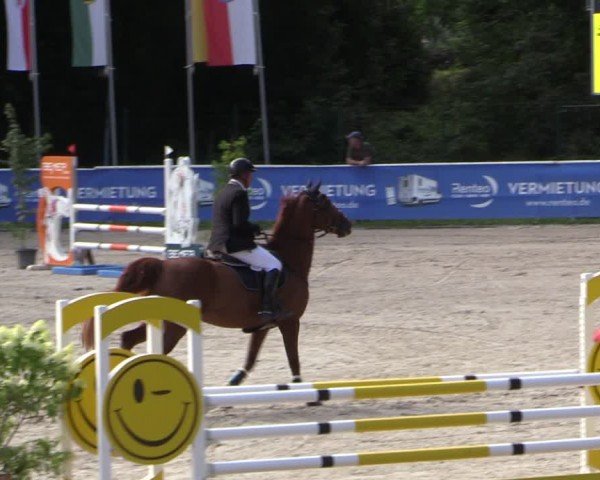Reitturnier Prussendorf 2024