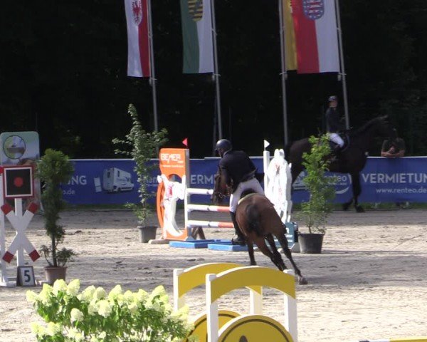 Reitturnier Prussendorf 2024