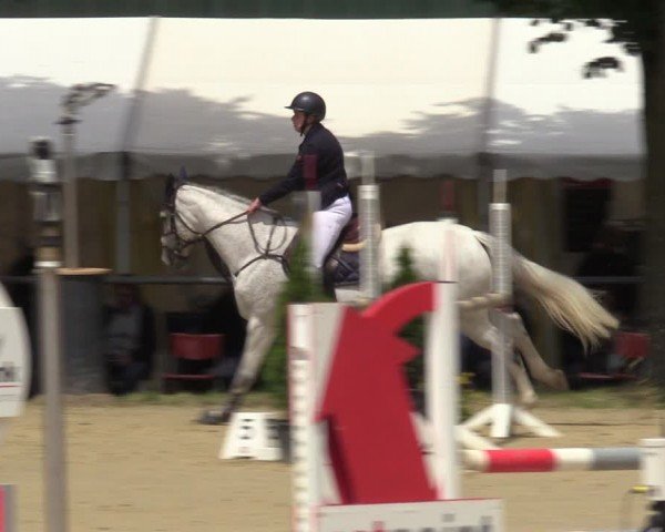 Reitturnier Grefrath - Reitanlage Heitzerend 2024