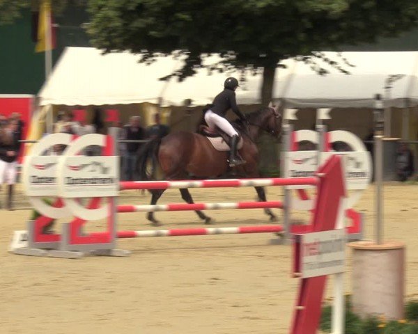 Reitturnier Grefrath - Reitanlage Heitzerend 2024