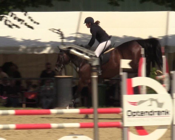 Reitturnier Grefrath - Reitanlage Heitzerend 2024