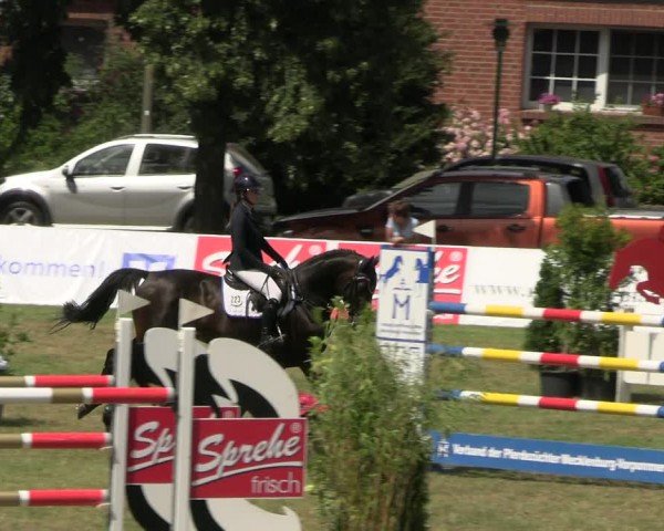 Reitturnier Neu Benthen 2024