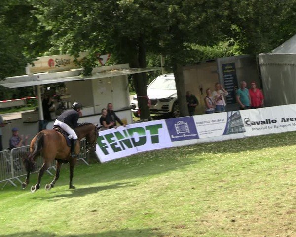 Reitturnier Neu Benthen 2024
