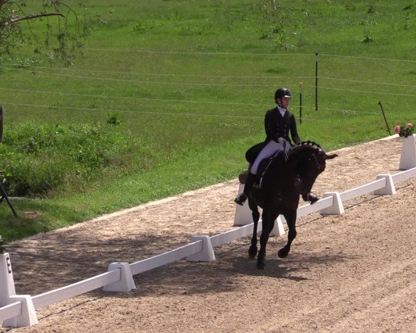 Reitturnier Neu Benthen 2024