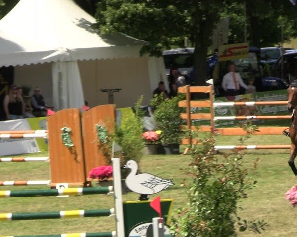 Reitturnier Neu Benthen 2024