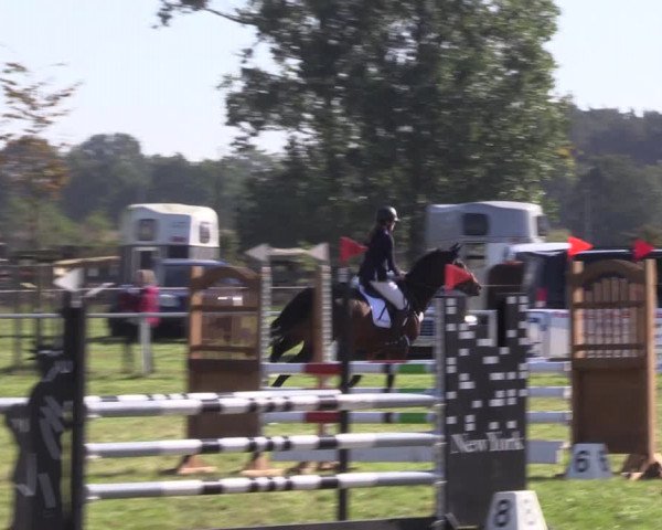 Reitturnier Großwoltersdorf 2021