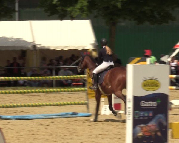 Reitturnier Grefrath - Reitanlage Heitzerend 2024