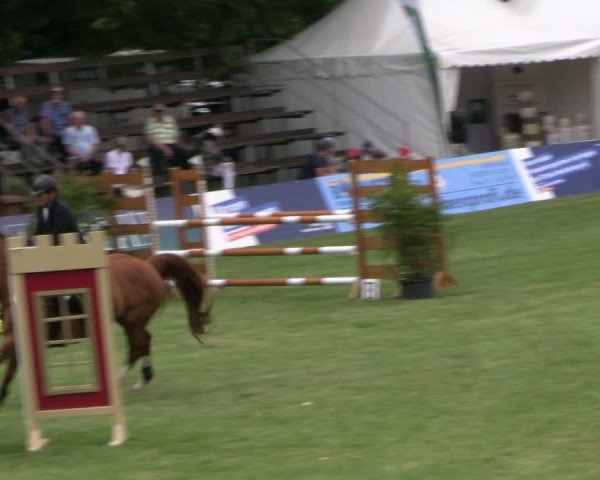 Reitturnier Neu Benthen 2024