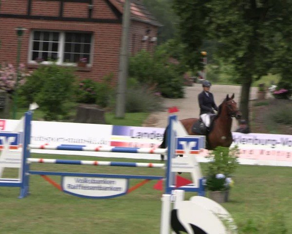 Reitturnier Neu Benthen 2024