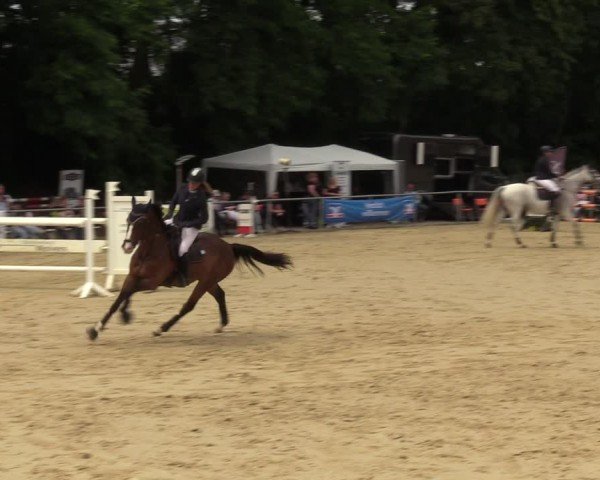 Reitturnier Grefrath - Reitanlage Heitzerend 2024