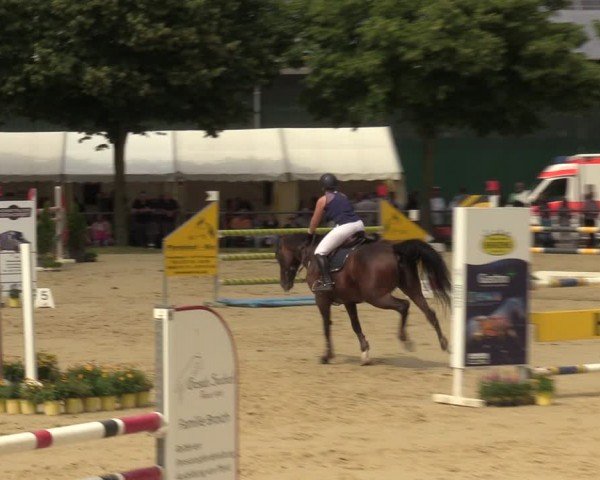 Reitturnier Grefrath - Reitanlage Heitzerend 2024