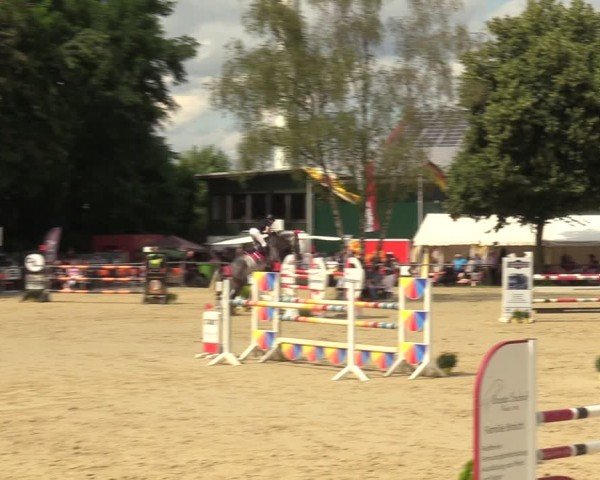 Reitturnier Grefrath - Reitanlage Heitzerend 2024