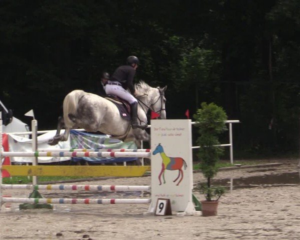 Reitturnier Prussendorf 2024