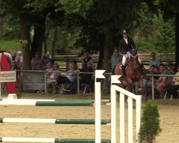 Reitturnier Grefrath - Reitanlage Heitzerend 2024