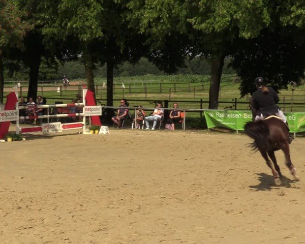 Reitturnier Grefrath - Reitanlage Heitzerend 2024
