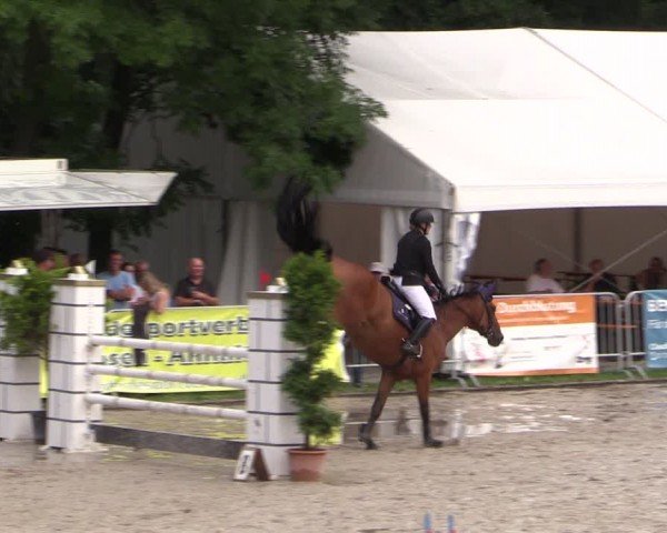 Reitturnier Prussendorf 2024