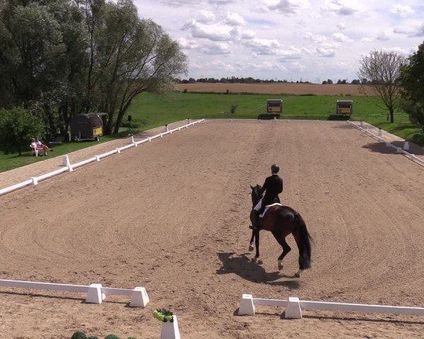 Reitturnier Neu Benthen 2024