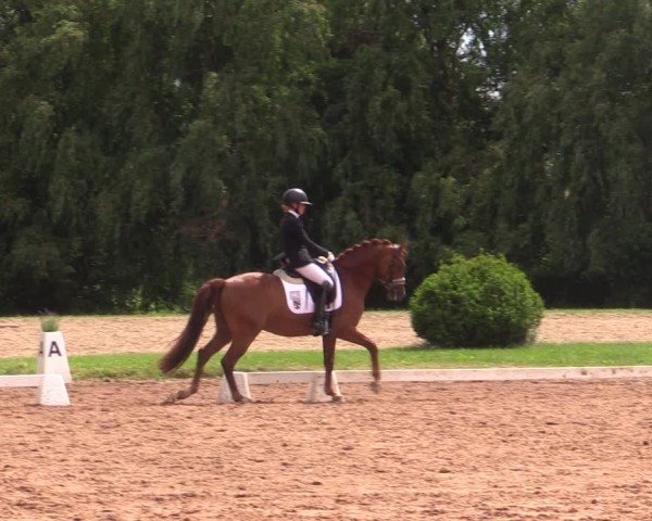 Reitturnier Prussendorf 2024