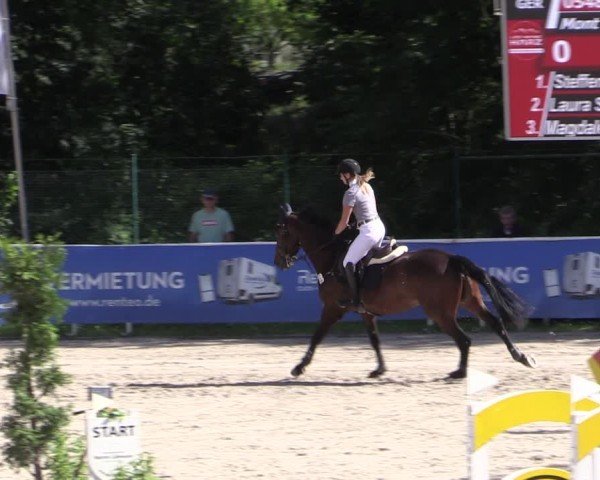 Reitturnier Prussendorf 2024