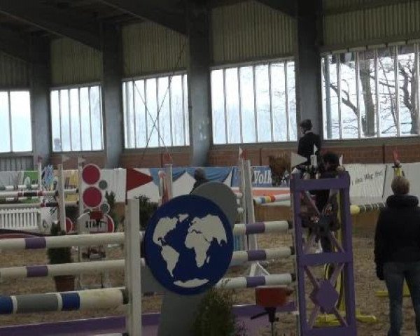 Grevener-Hallenspringturnier 2013