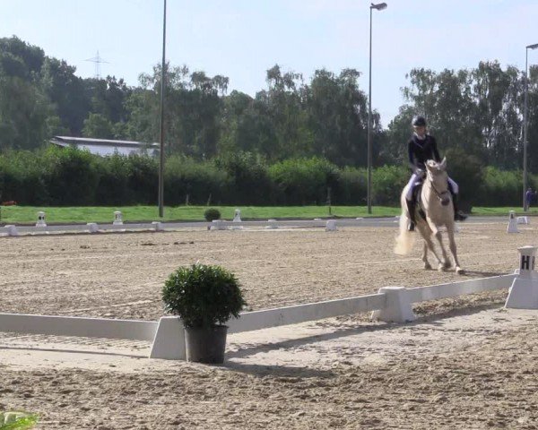 Reitturnier Münster-Roxel 2024