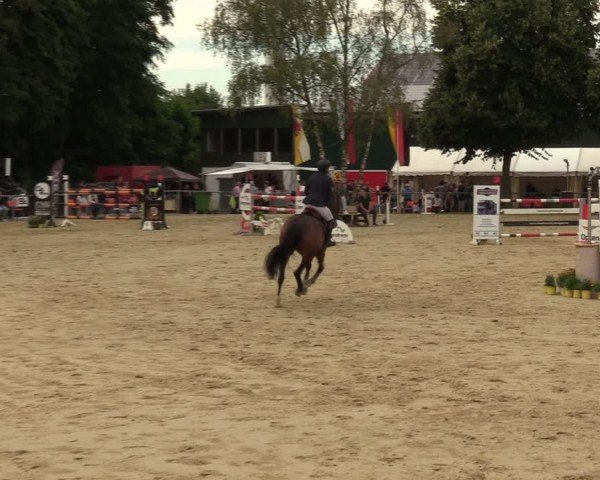 Reitturnier Grefrath - Reitanlage Heitzerend 2024