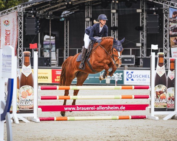 Springpferd Sya (Deutsches Reitpferd, 2020, von Siegfried)