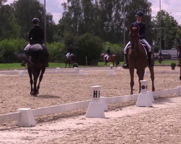 Reitturnier Münster-Roxel 2024