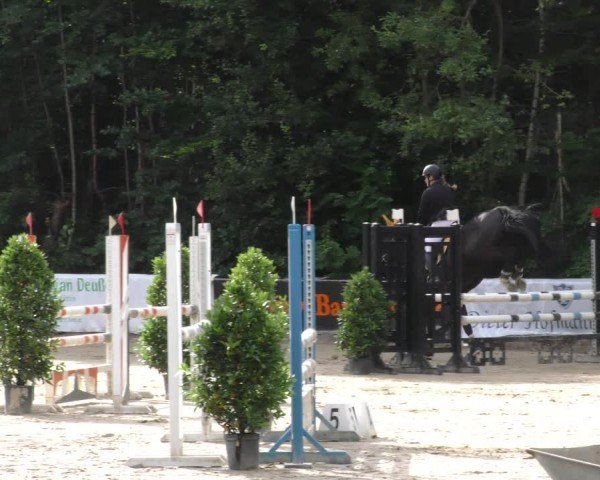 Reitturnier Hünfelden-Kirberg 2024