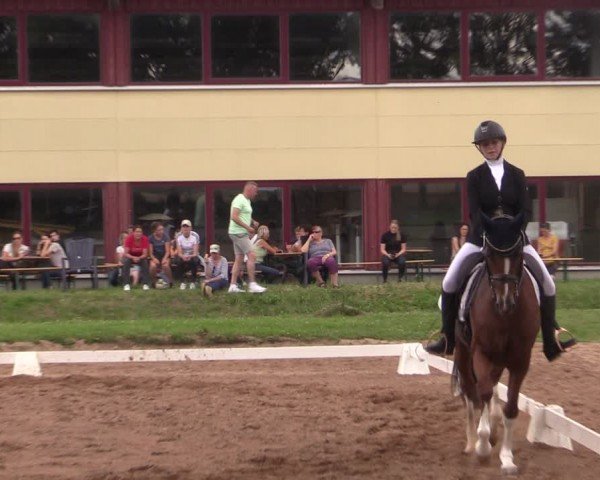 Reitturnier Prussendorf 2024
