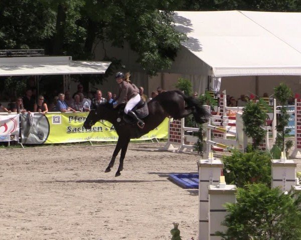 Reitturnier Prussendorf 2024