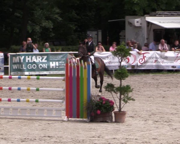 Reitturnier Prussendorf 2024