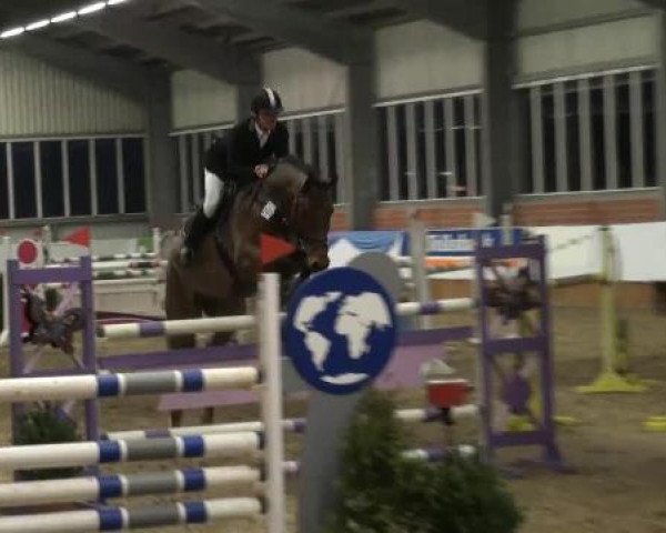 Grevener-Hallenspringturnier 2013