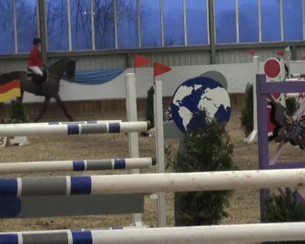 Grevener-Hallenspringturnier 2013