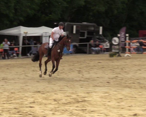 Reitturnier Grefrath - Reitanlage Heitzerend 2024