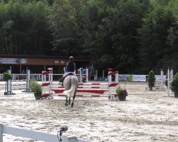Reitturnier Hünfelden-Kirberg 2024