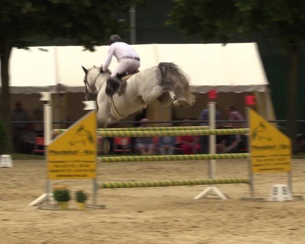Reitturnier Grefrath - Reitanlage Heitzerend 2024