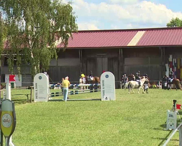 Reitturnier Hof-Haidt/Ofr. 2024