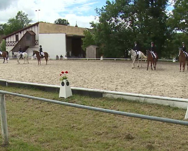 Reitturnier Hof-Haidt/Ofr. 2024