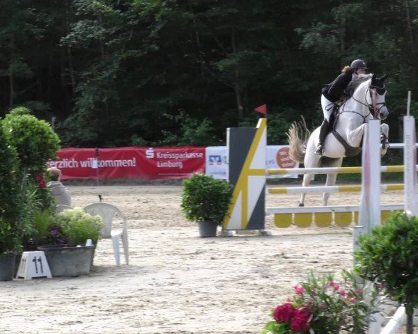 Reitturnier Hünfelden-Kirberg 2024