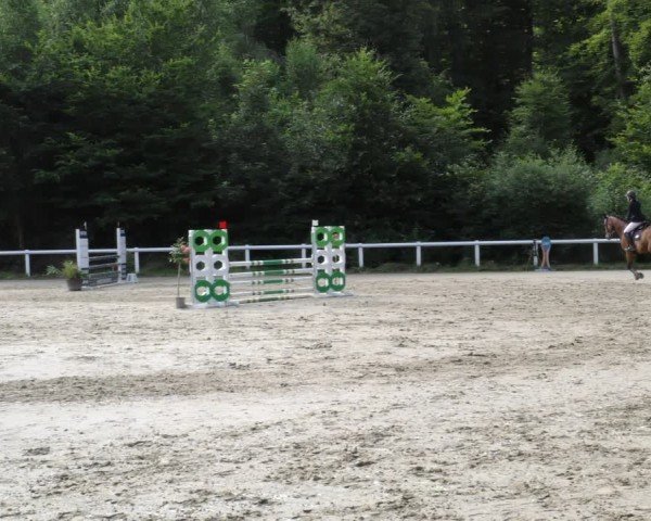 Reitturnier Hünfelden-Kirberg 2024
