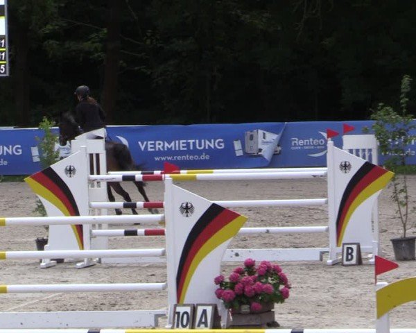 Reitturnier Prussendorf 2024