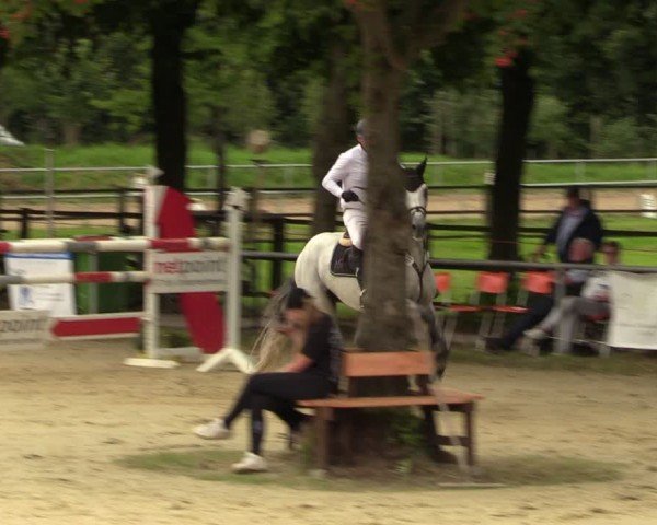 Reitturnier Grefrath - Reitanlage Heitzerend 2024